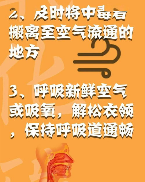 消防安全心中記，平平安安過(guò)大年——系列三：消防安全全攻略